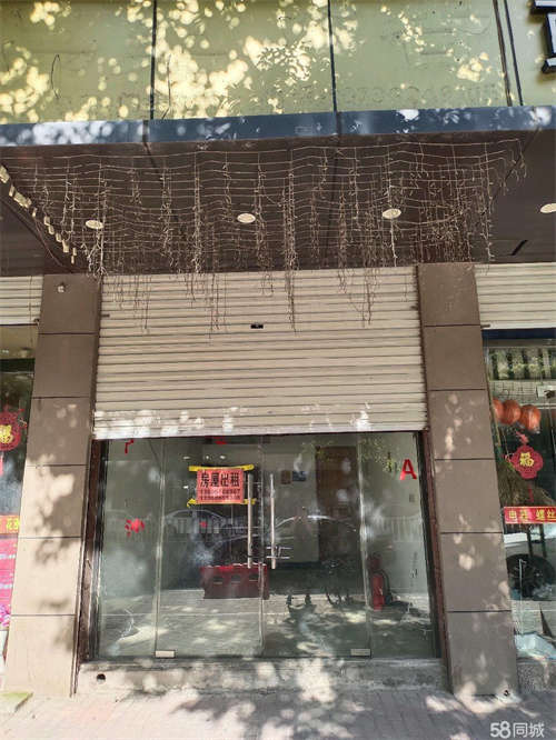 出租交通方便，房屋明亮，