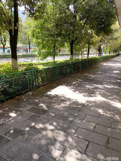 出租商铺在开发区214线公路边