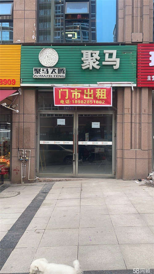 出租诚信出租非诚勿扰谢谢