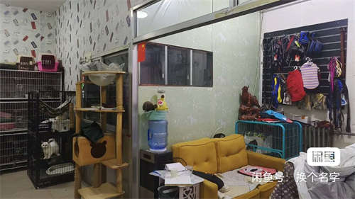 宠物店