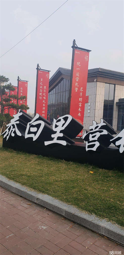出租万达广场斜对过泰白里