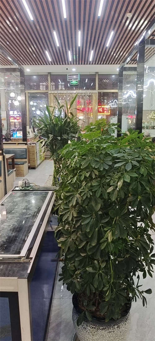 地理位置黄金段位，消费人群属高消费群体，因为本店内部合作出现分歧，于是忍疼割爱转让！