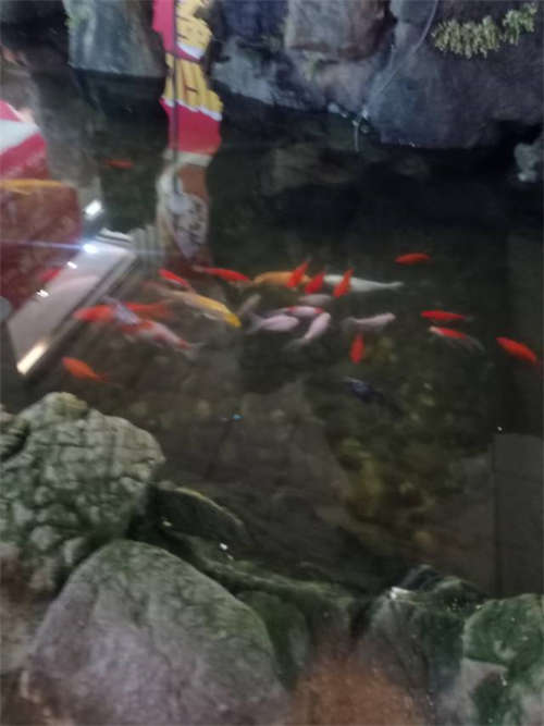 发布店铺出租店铺招租