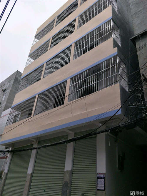 出租科德路大岭村三冬坡新房一楼临街铺面出租