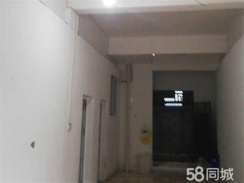 出租门面在东合一路那东巷东合八组