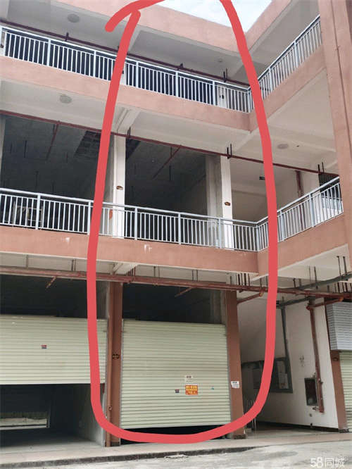 出租无转让费，可整栋出租，可单租