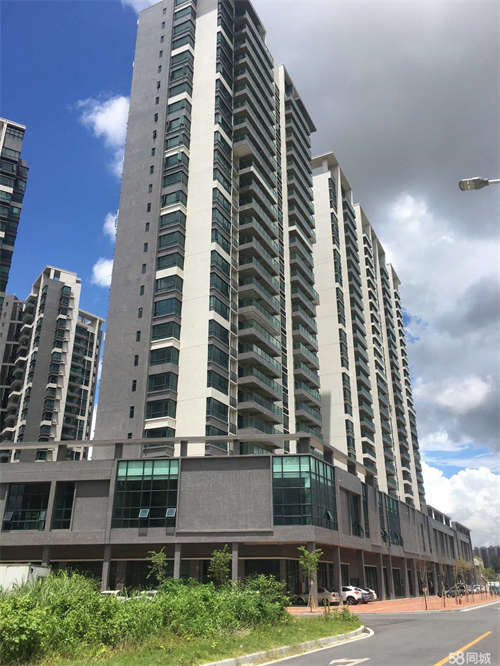 出租金湖蓝天小区社区底商直招租
