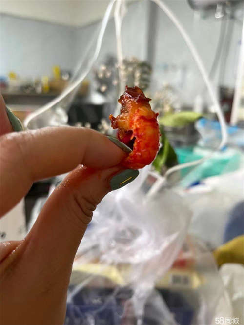出租带技术带设备转让 房租一个月才375