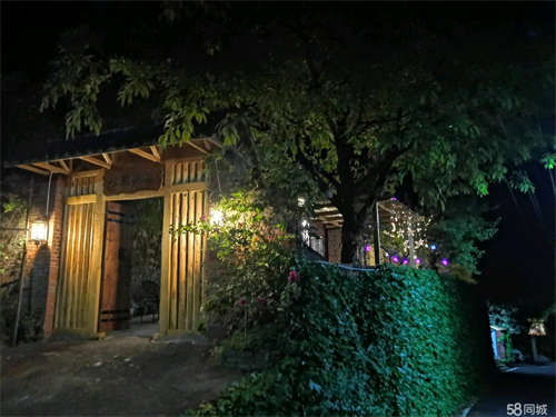 出租南山精装民宿小院出租
