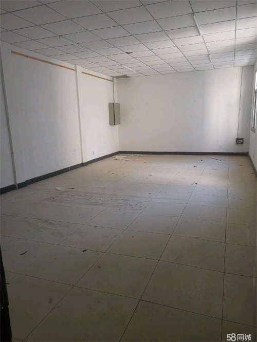 出租没有物业费，紧邻河北大学，保定市中心医院商圈