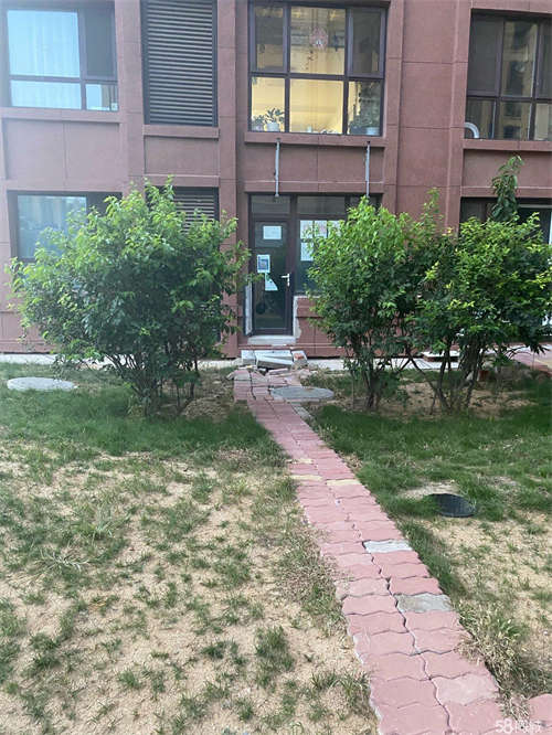 出租经营中宠物店老店因疫情回不去转让