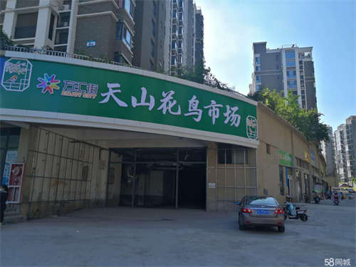 出租泉山段庄广场金鹰二店对面万汇街商业街店铺可分租