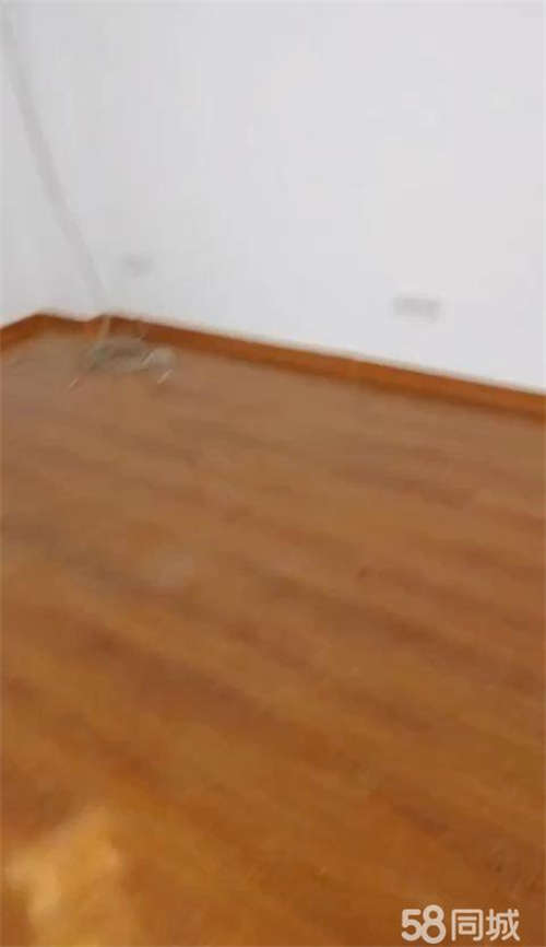 出租临街商铺，有意者可联系我。