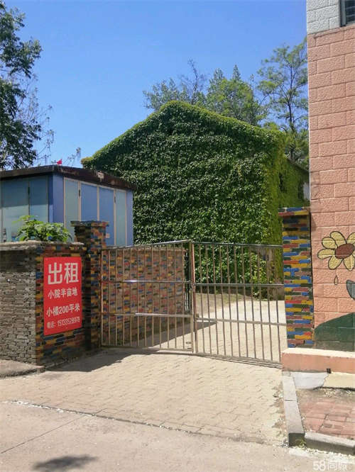 出租小院半亩地    小楼200平