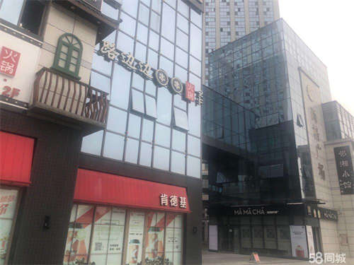 出租（零转让、中介费）成熟小区中心地段