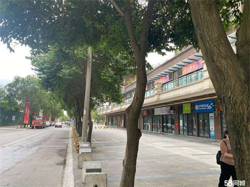 出租二楼培训机构商铺出租