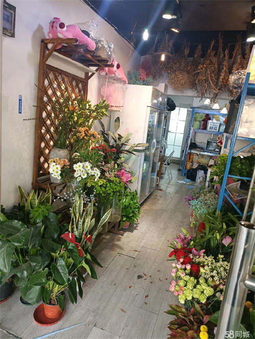 出租北一环营业中花店转让