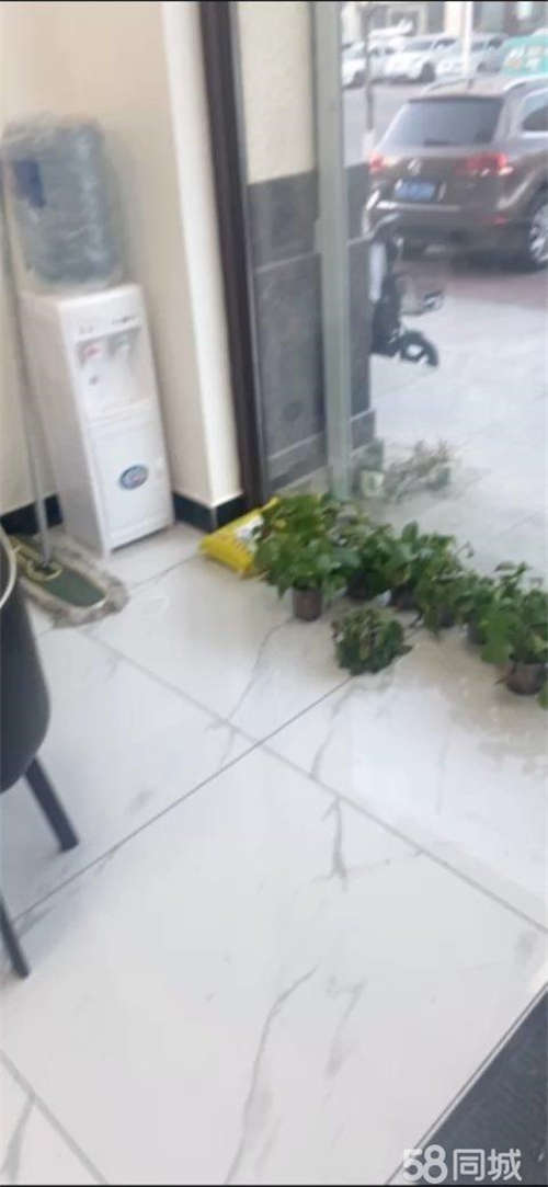 出租阳光新城传媒出兑 板正