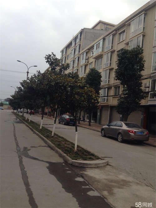 出租塘汛街225号临街旺铺出租