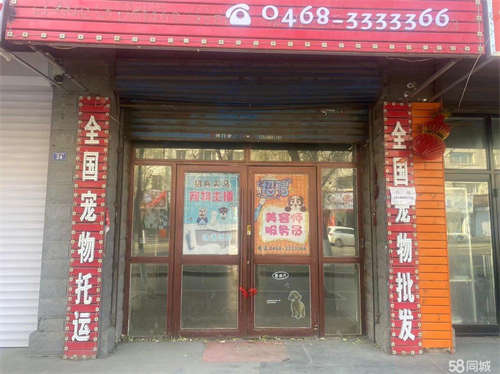 出租黎明小学下行海波肉串对面