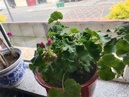 出租看房方便。。。。。。。。。。。。。。