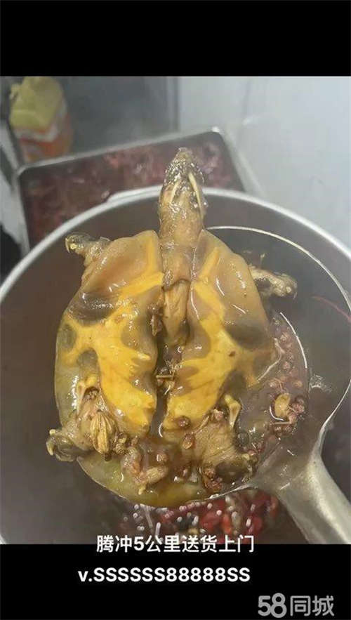 转让大盈门美食城麻辣甲鱼转让