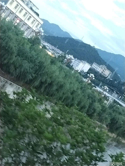 转让改地址属于维西美食一条街