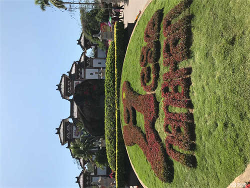 转让昌都县茶马广场商业街店铺
