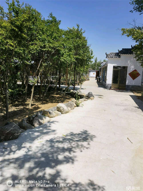 转让1800平鱼塘，菜地，养殖区做餐饮以及学校田园课堂可合作。