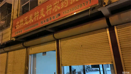 出租房子干净地方好价位便宜