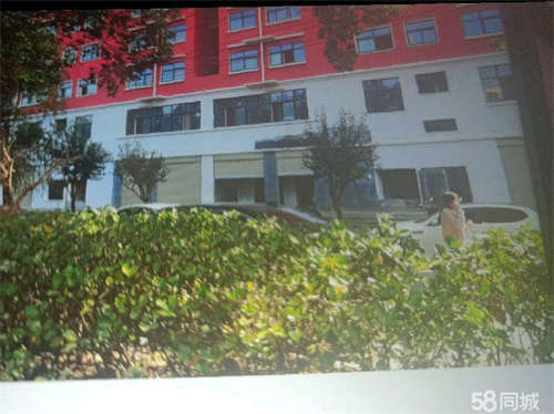 出租新铺一二楼，装修期免租金