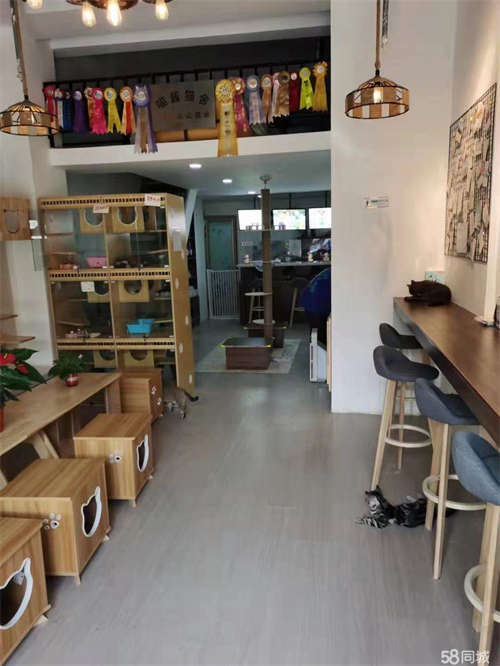 出租转租，没有时间看店，不转让，不要转让费，出租